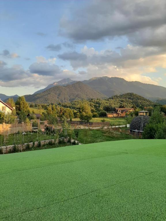 Casa Cu Mesteceni Rîşnov Kültér fotó
